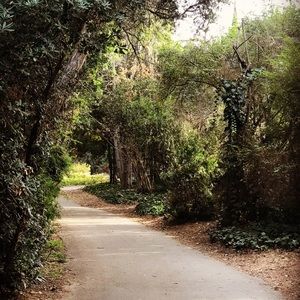 Meet your Posher, Juno